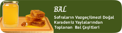 bal,anzer,çiçek,kestane,deli,komar,yüksek,yaylalar