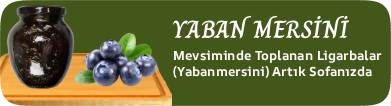 yaban mersini,ligarba,likapa,blueberry